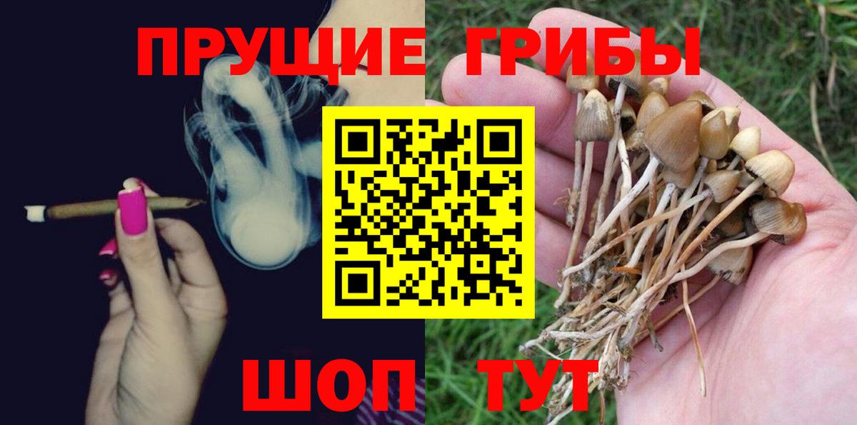 Галлюциногенные грибы GOLDEN TEACHER Грязи
